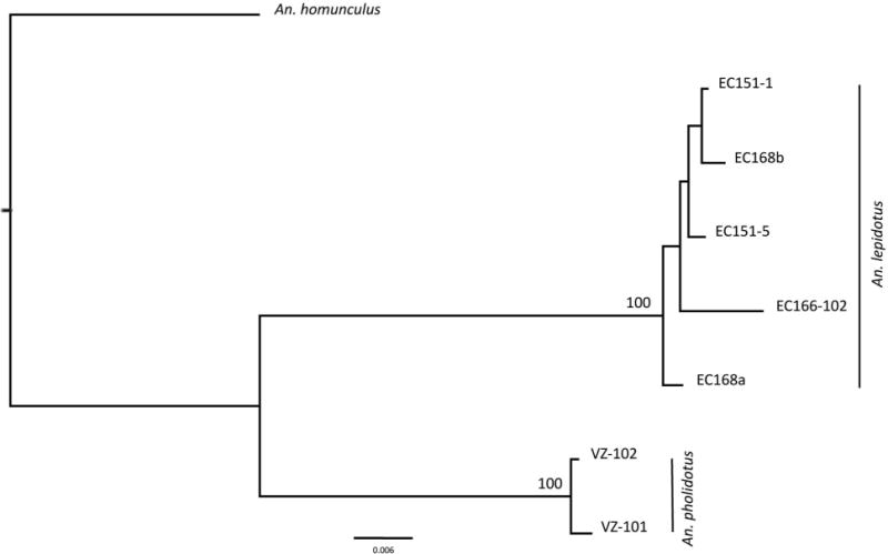 FIGURE 2