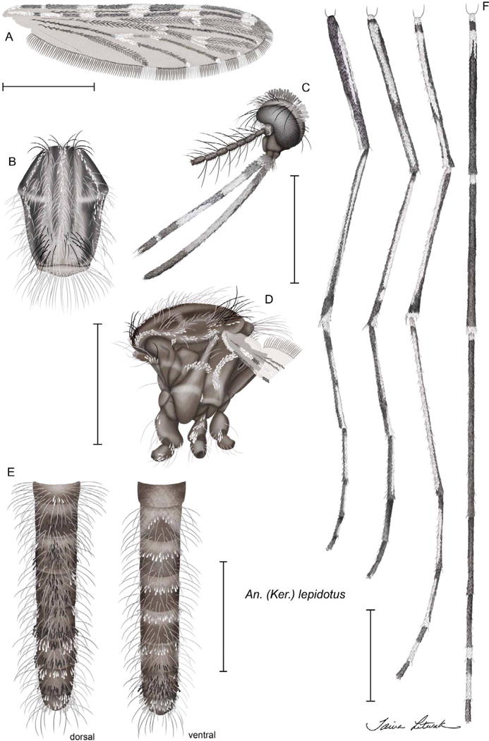 FIGURE 3