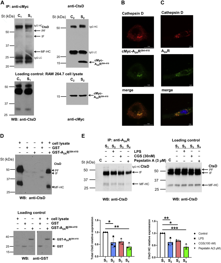 Figure 2