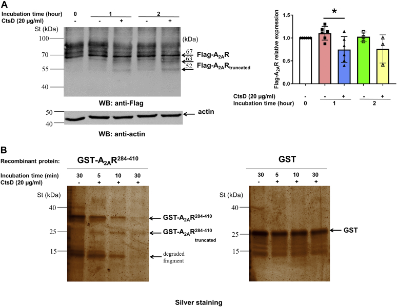 Figure 3