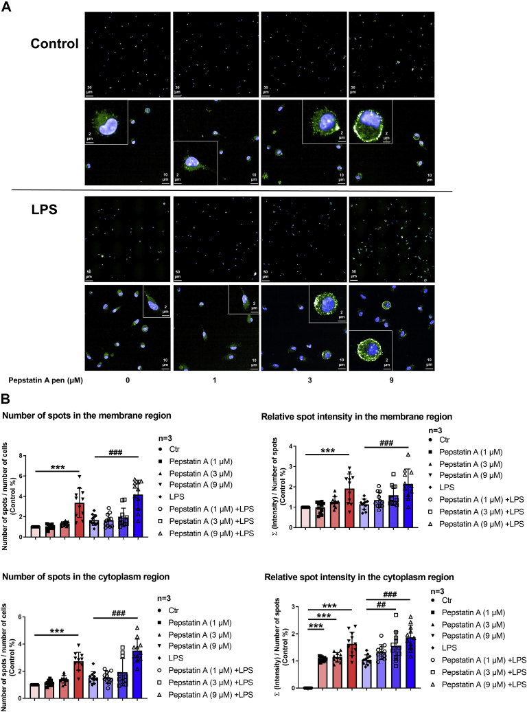 Figure 4