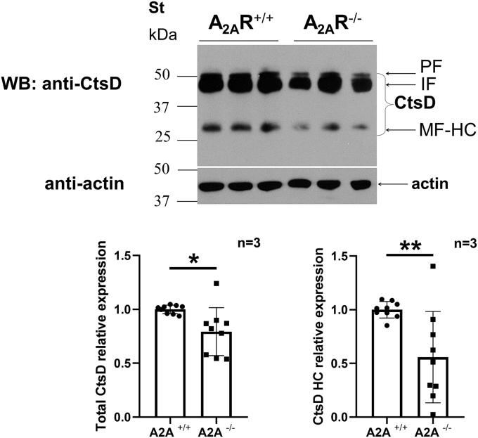 Figure 7