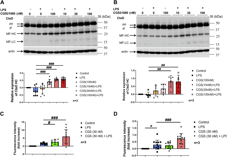 Figure 6