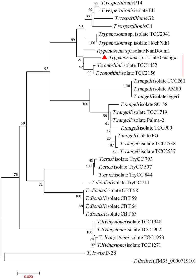 Fig. 4
