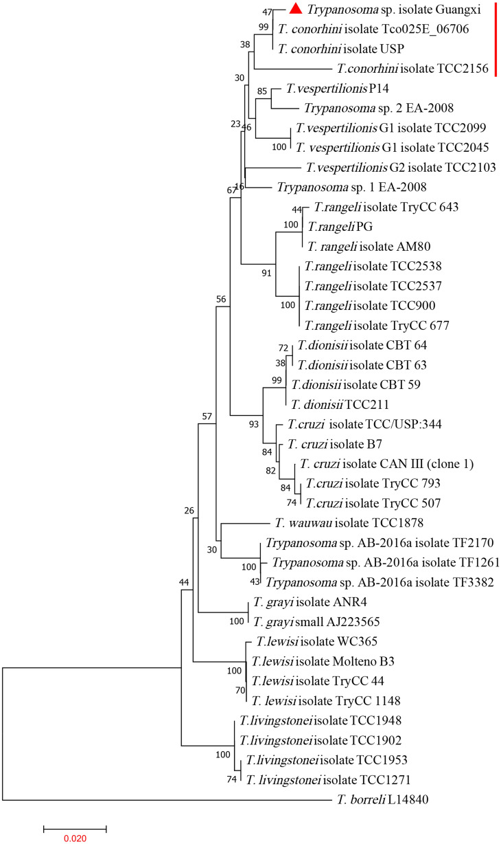 Fig. 3
