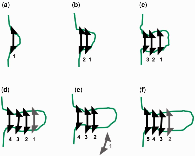 Figure 7.