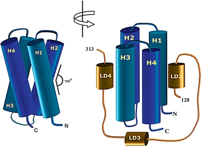 Figure 7.