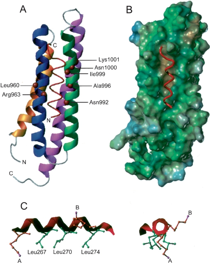 Figure 6.