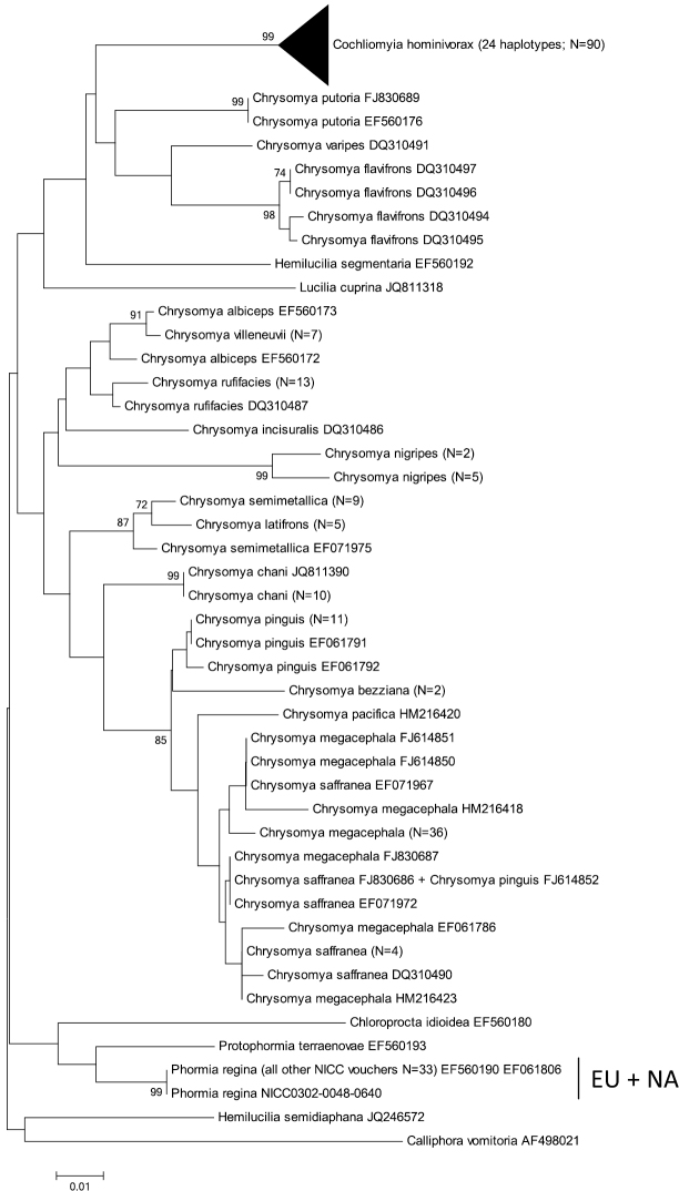 Supplementary figure 2.