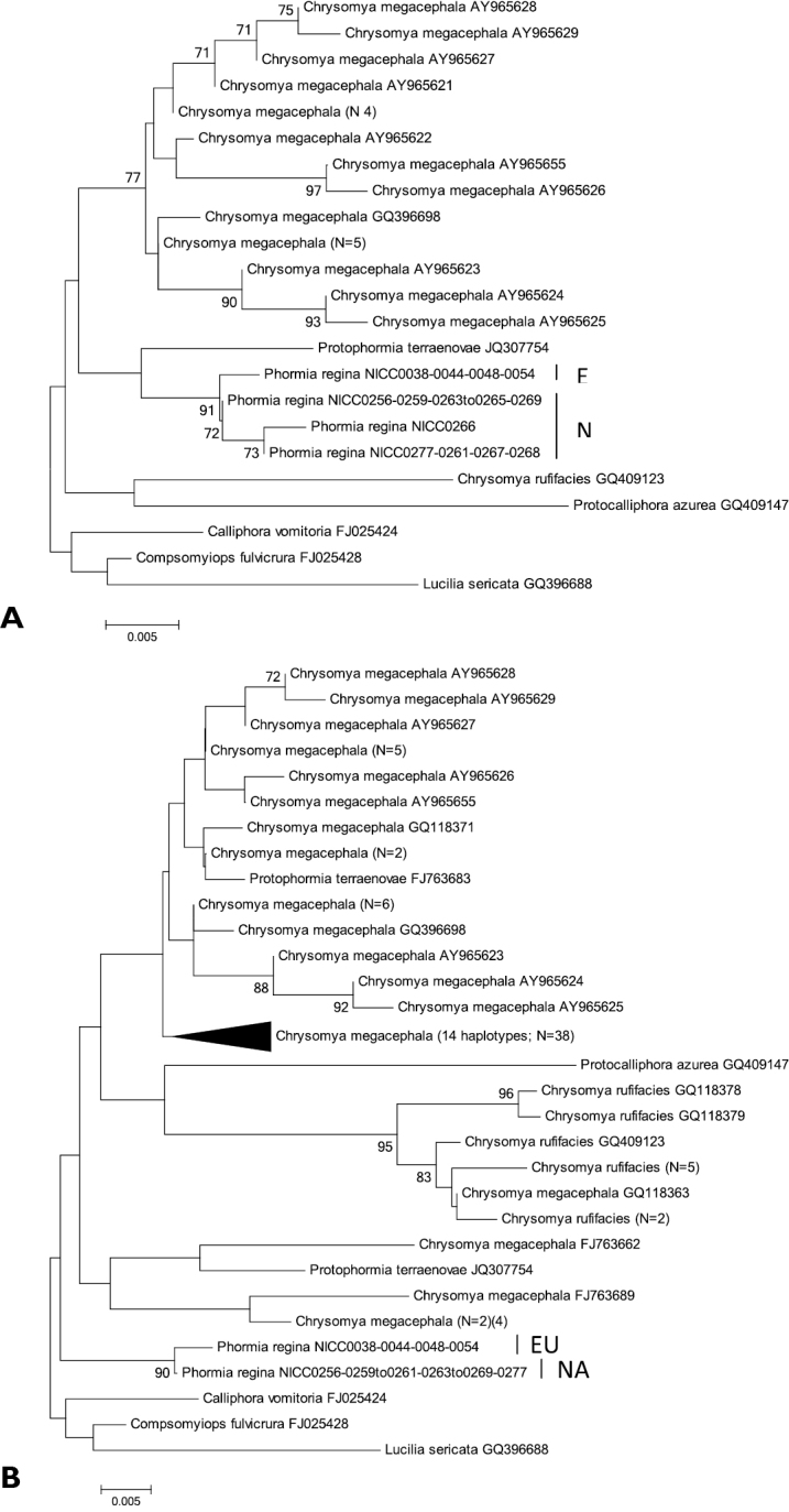 Supplementary figure 1.