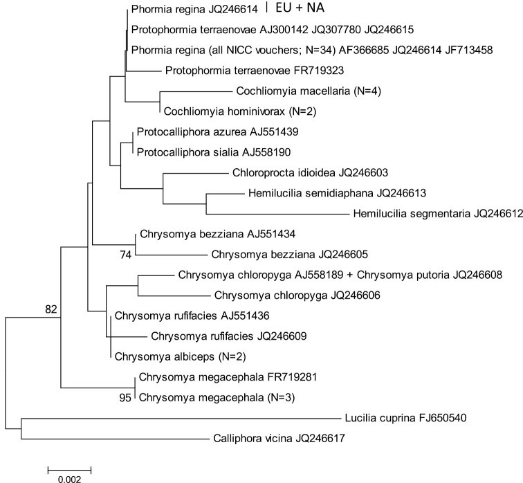 Supplementary figure 3.