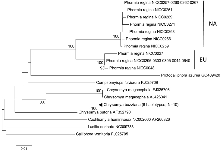 Figure 4.