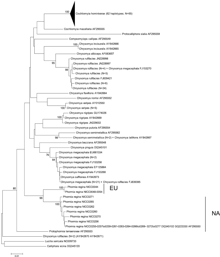 Figure 3.