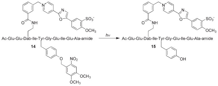 Scheme 6