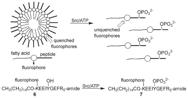 Scheme 3