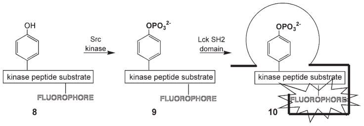 Scheme 4