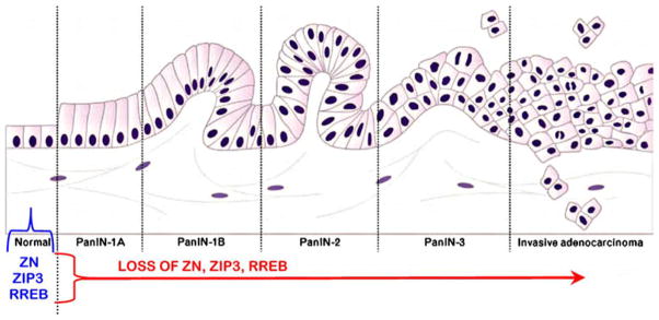 Fig. 13