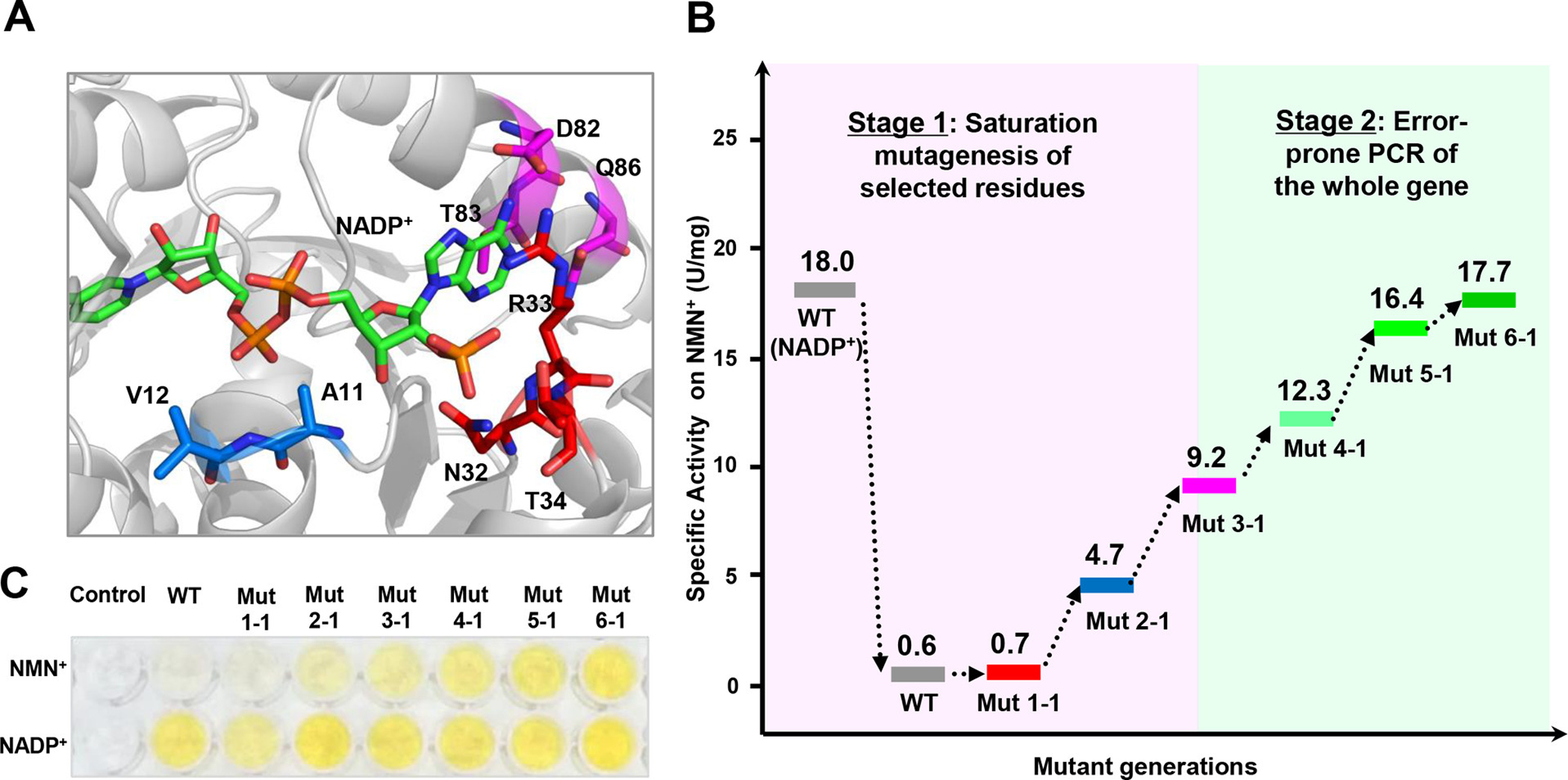 Figure 4.