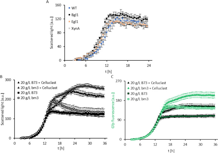 Fig. 3