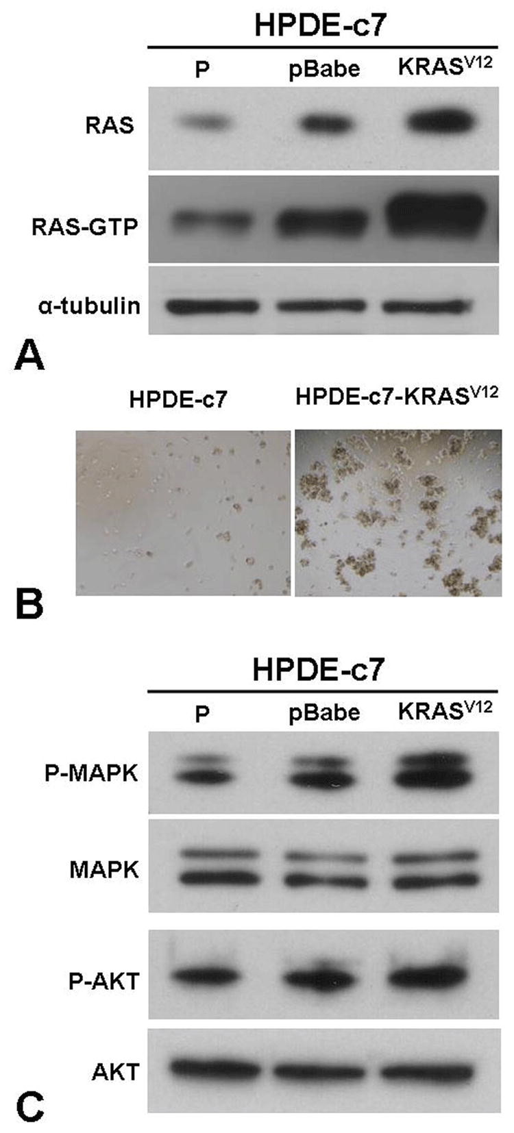 Figure. 1