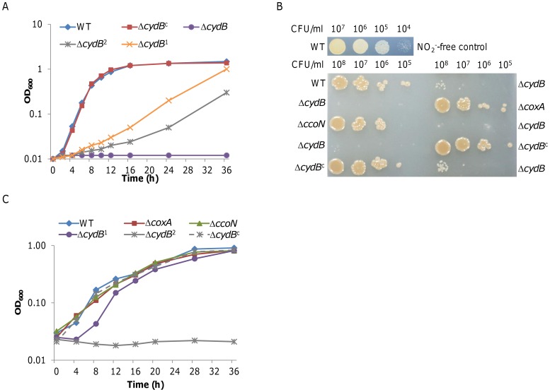 Figure 6