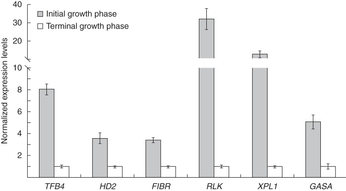 Fig. 6.