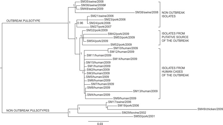 FIG 2