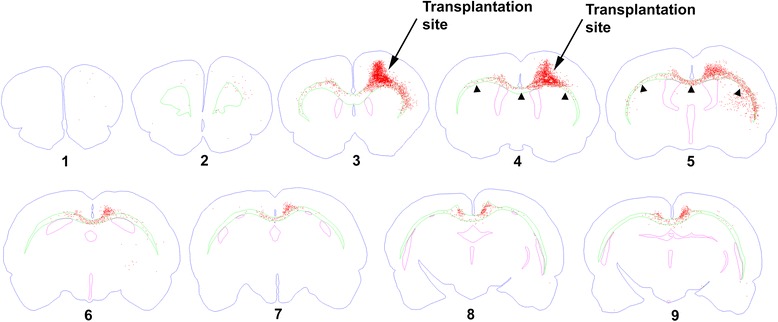 Fig. 4