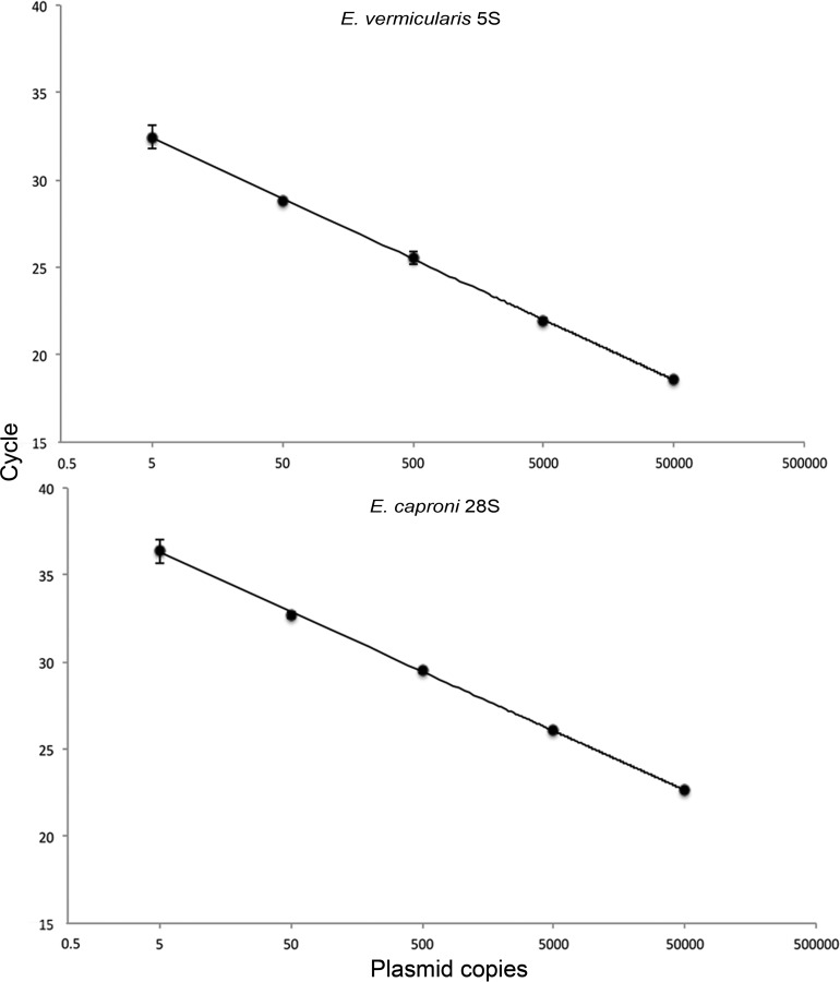 FIG 2