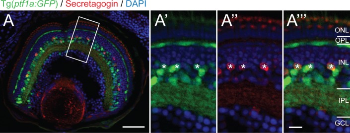 Fig 2