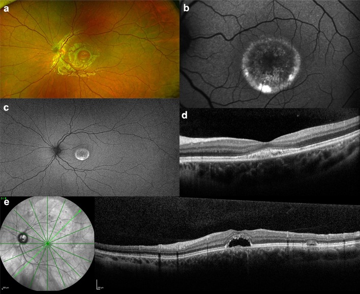 Fig. 7