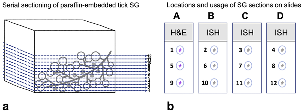 Fig. 3.