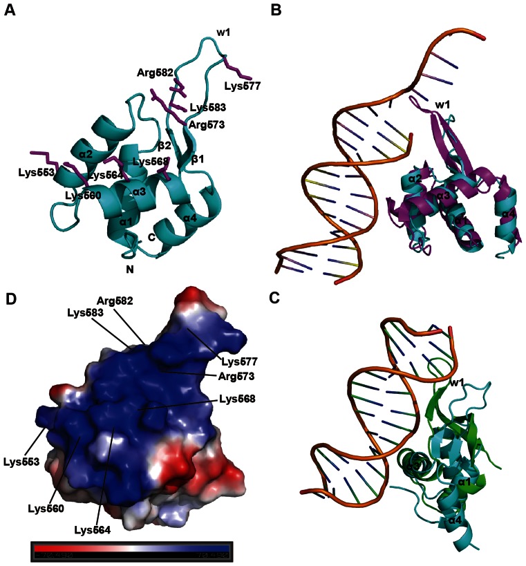 Figure 1.