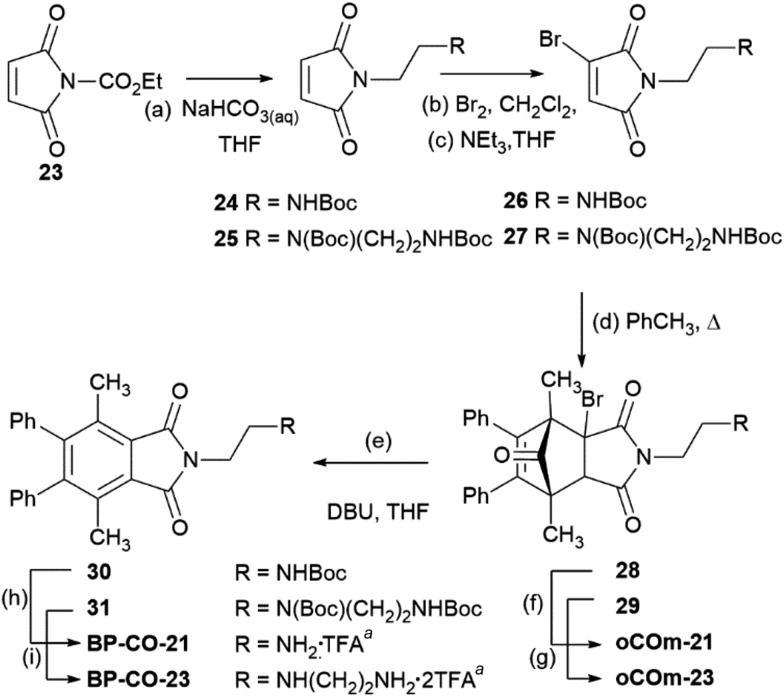 Scheme 4