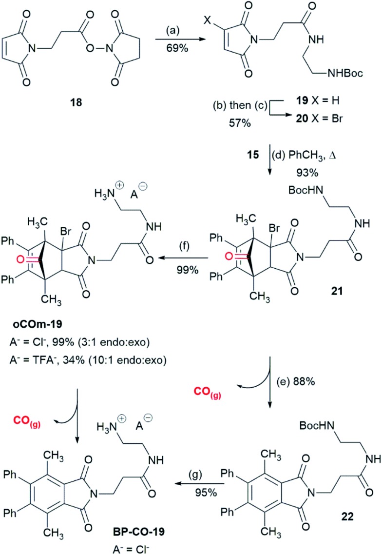 Scheme 3