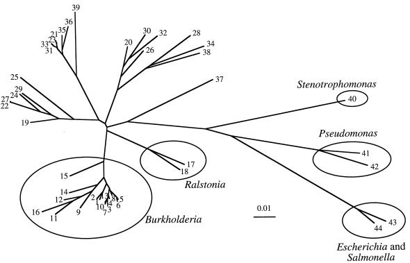 FIG. 3