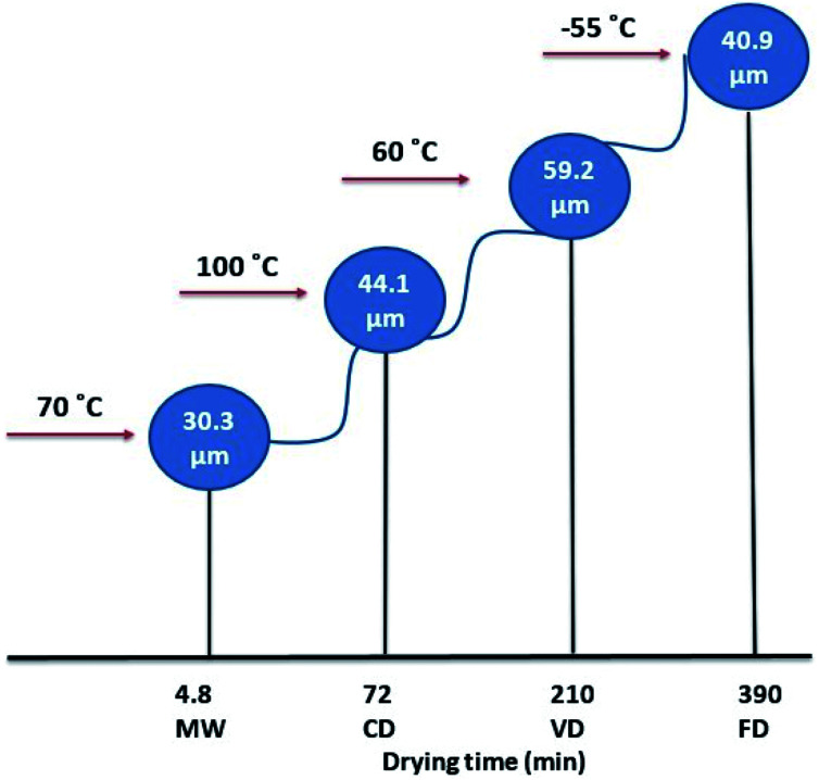 Fig. 5