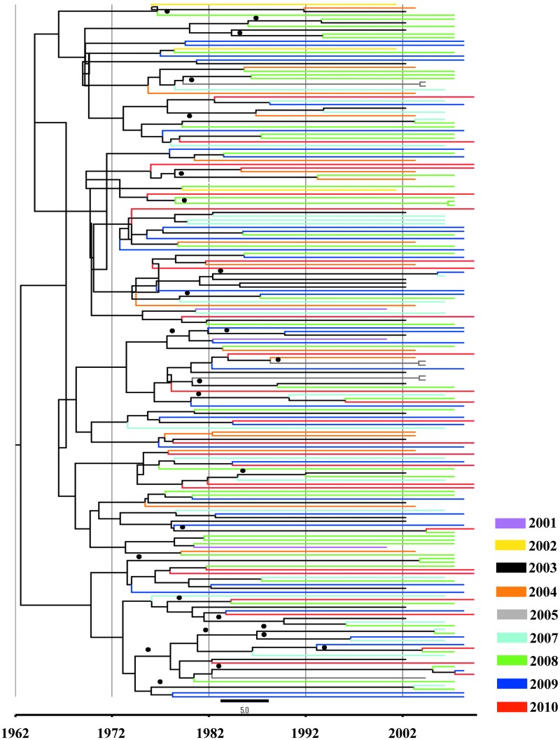 FIG. 2.