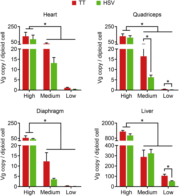 Figure 4