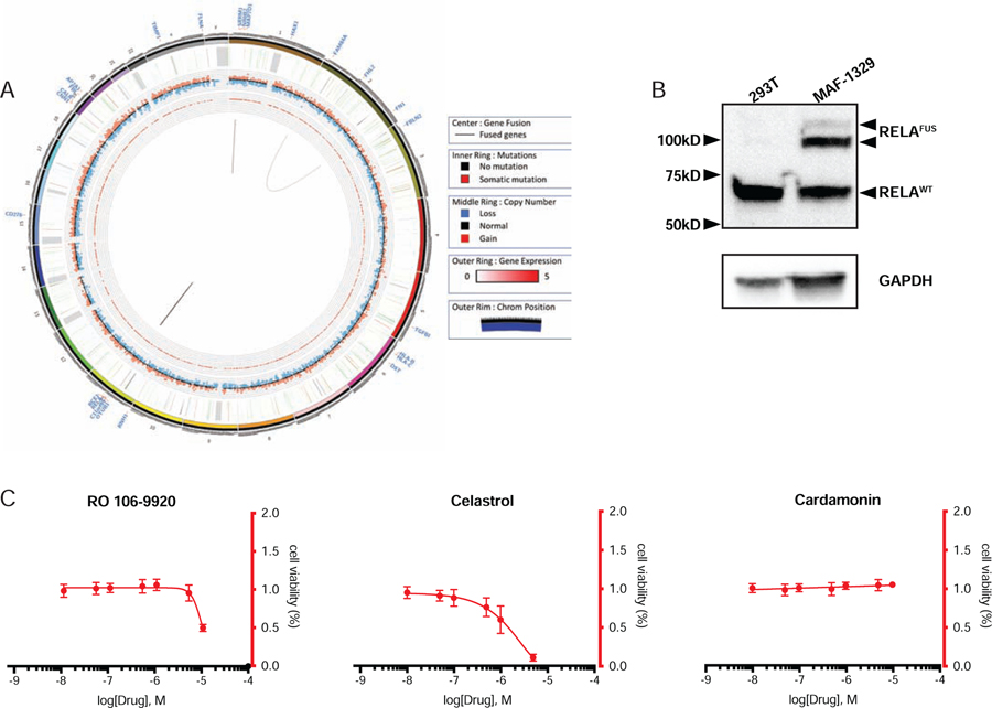 Fig 3.