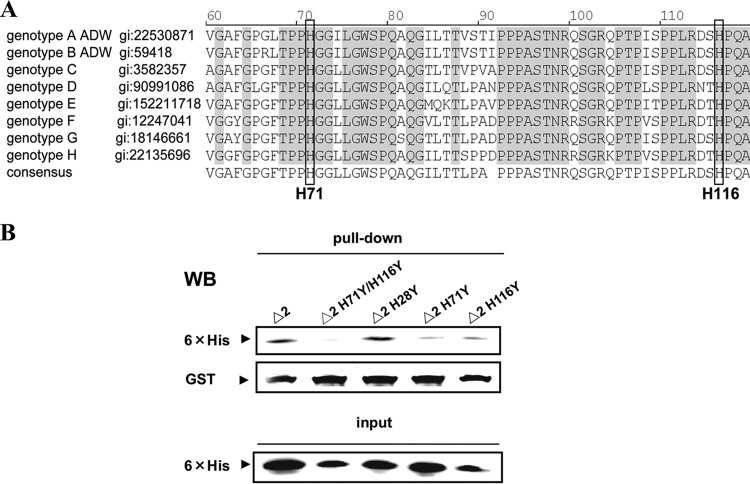 Fig 5