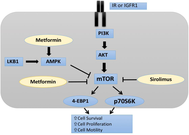 Figure 1: