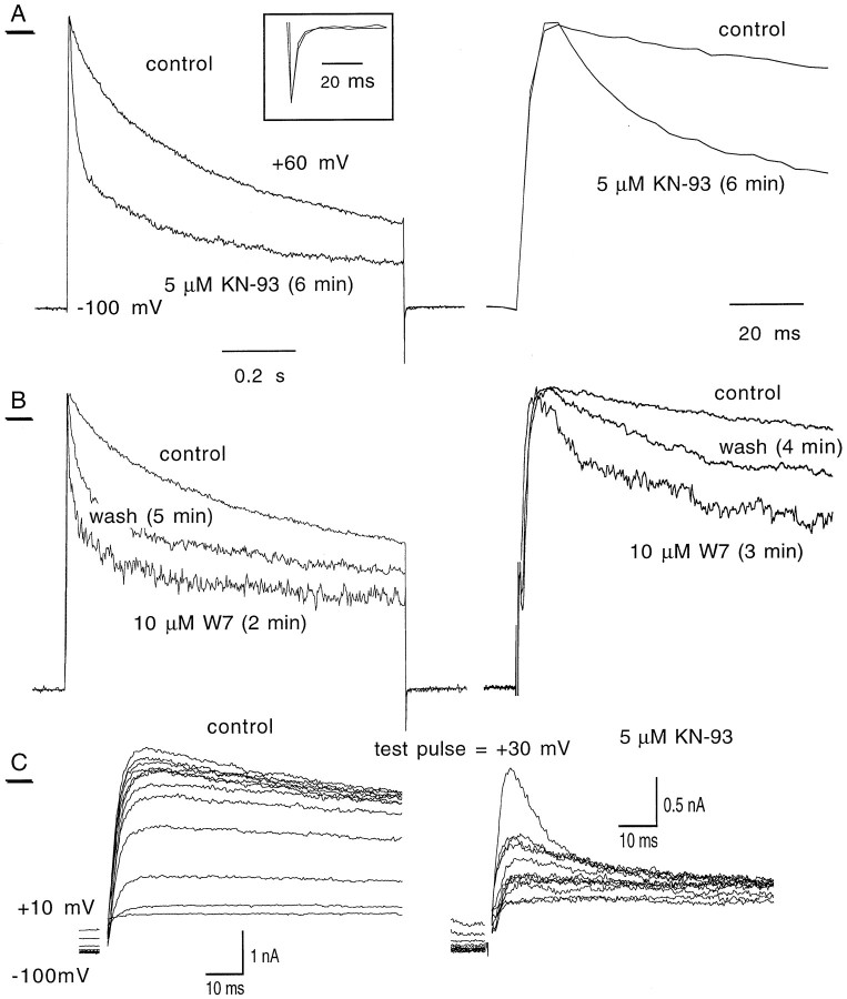 Fig. 5.