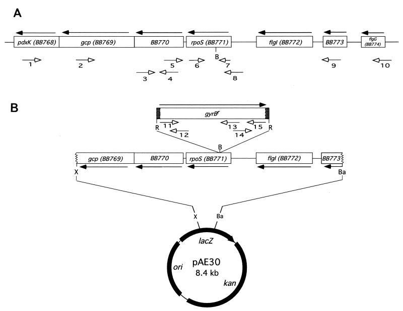 FIG. 1