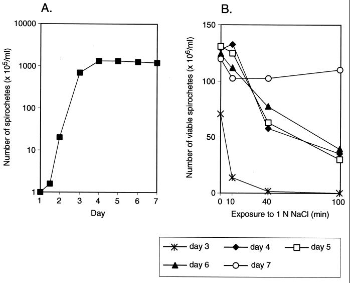 FIG. 6