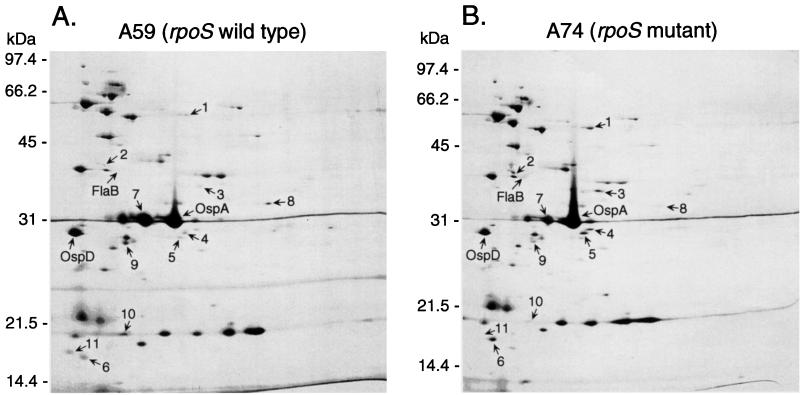 FIG. 9