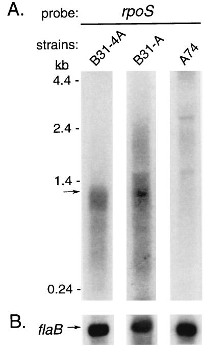 FIG. 5