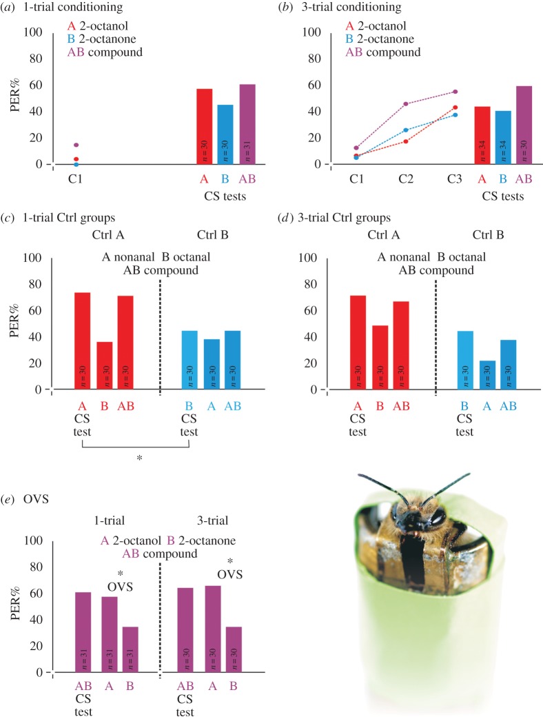 Figure 1.