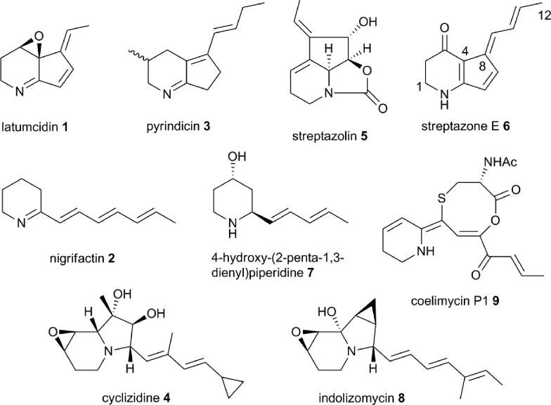 Fig. 1