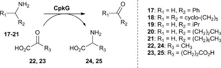 Scheme 2